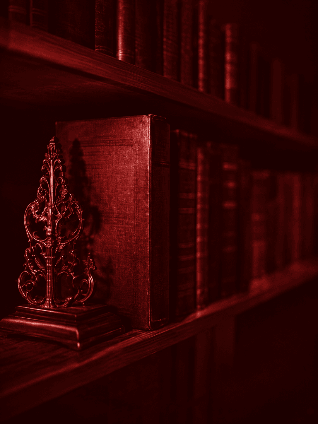 ShelfMyth bookends and bookshelf decor